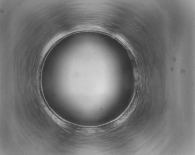 X0000060811438200511241924