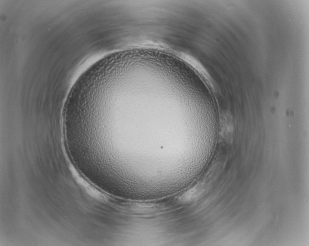 X0000060811439200511241924