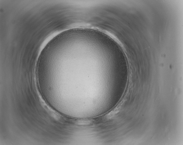 X0000060811440200511241924