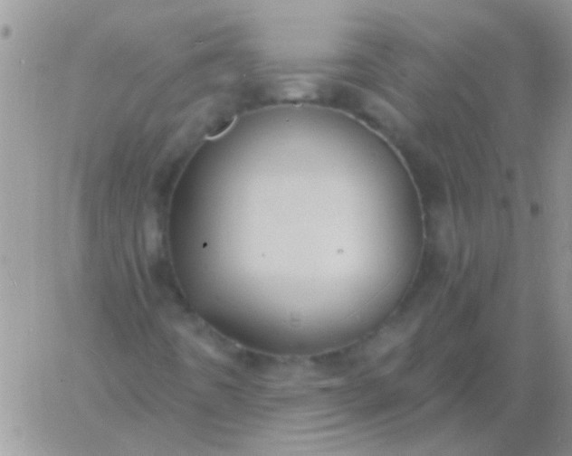 X0000060811442200511241923