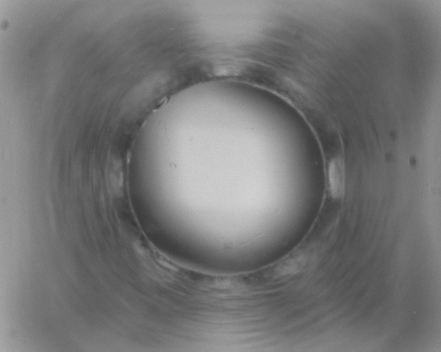 X0000060811443200511241923