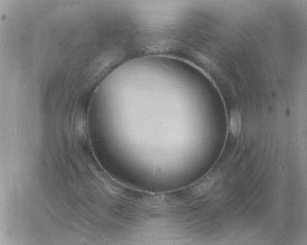 X0000060811444200511241923