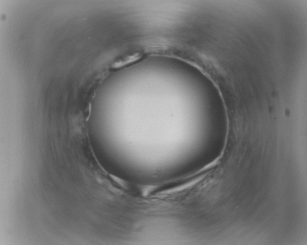 X0000060811445200511241923