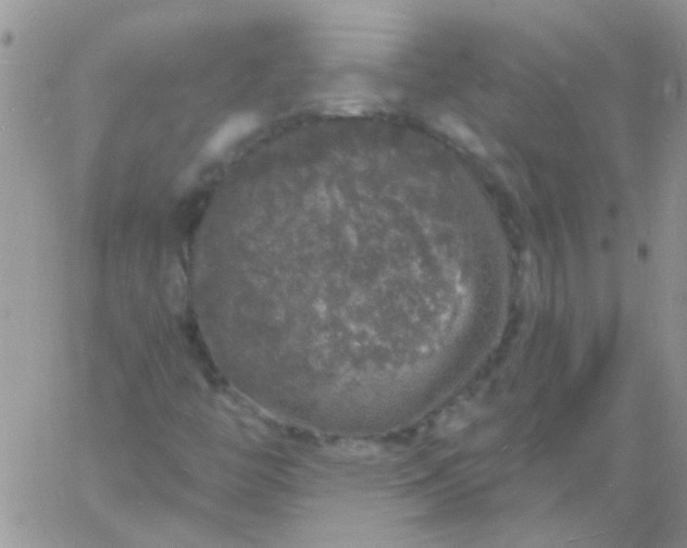 X0000060811446200511241923