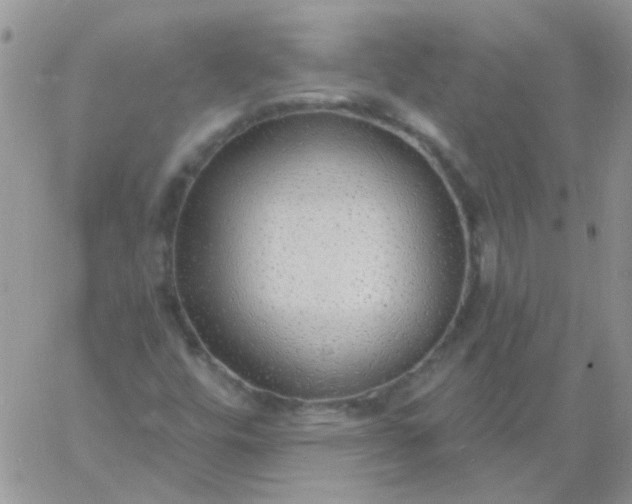 X0000060811448200511241923