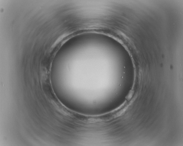 X0000060811449200511241923