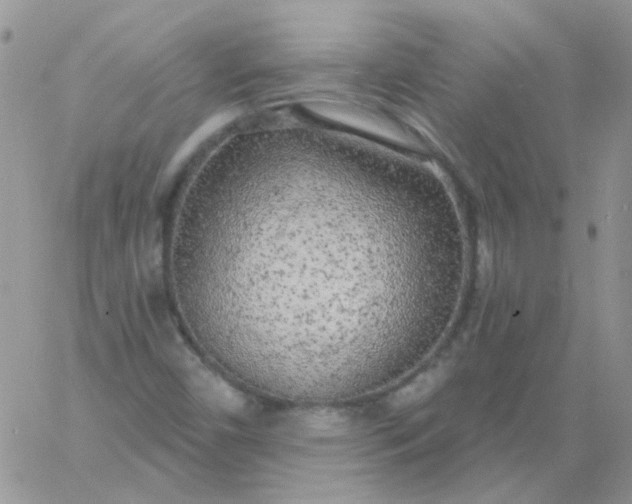 X0000060811450200511241923