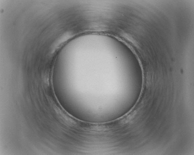 X0000060811451200511241923