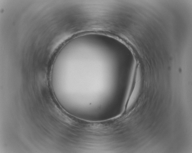 X0000060811452200511241923