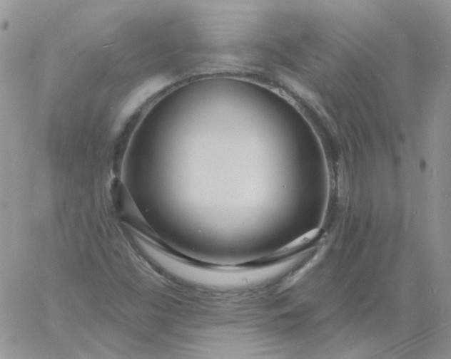 X0000060811453200511241923