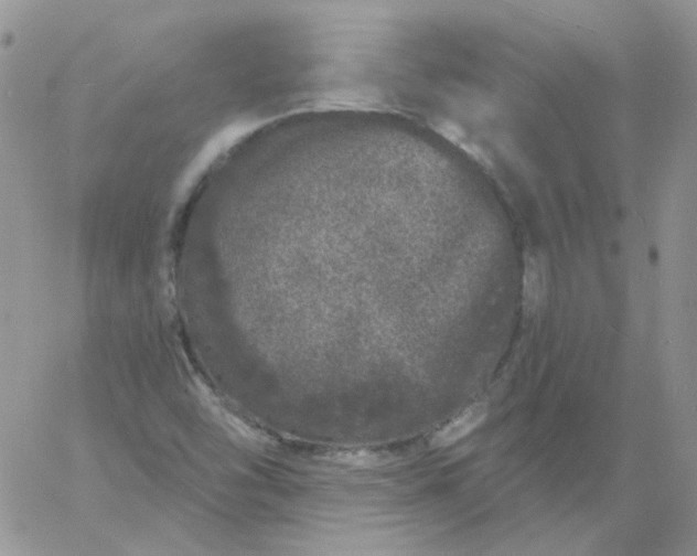 X0000060811454200511241923