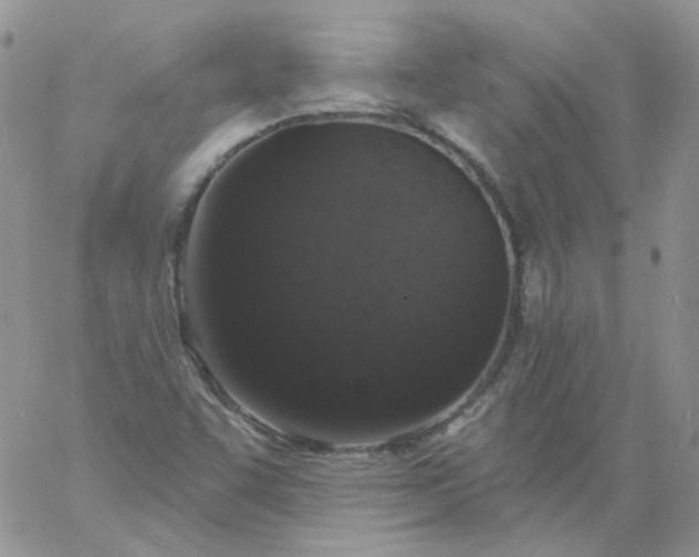 X0000060811455200511241923