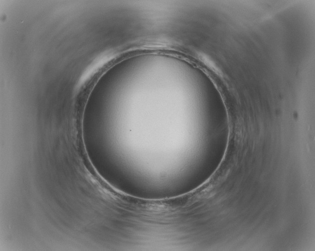 X0000060811456200511241923