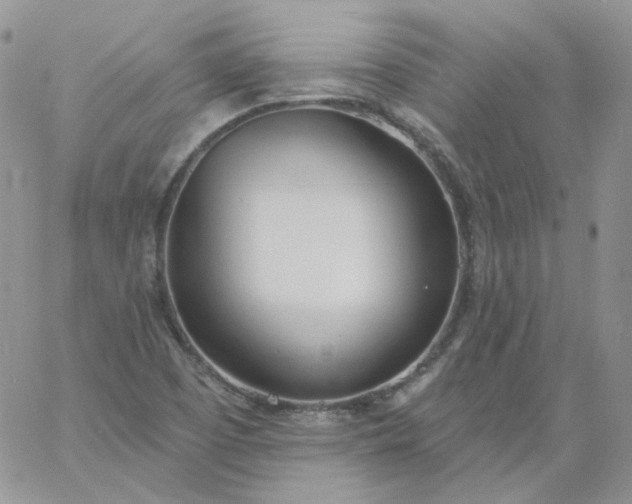 X0000060811457200511241923