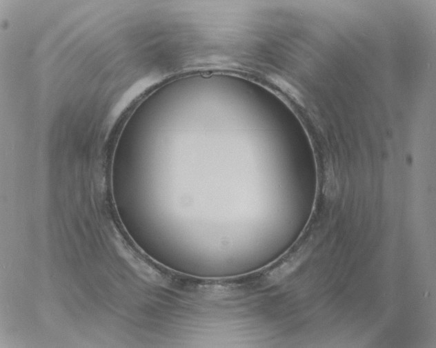 X0000060811458200511241923