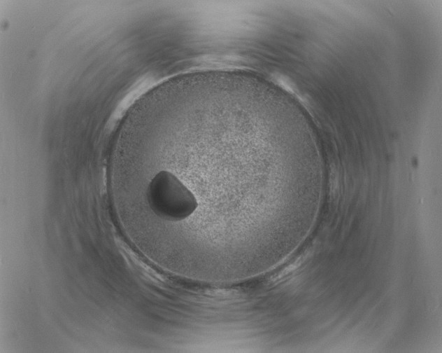 X0000060811459200511241923