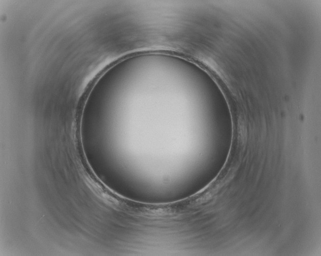 X0000060811460200511241923