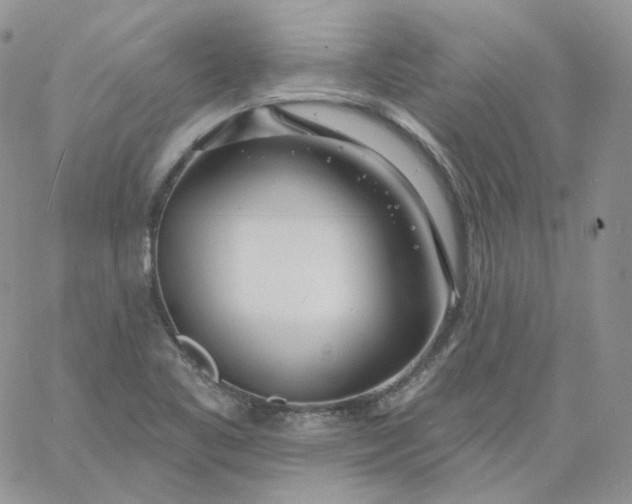 X0000060811461200511241923