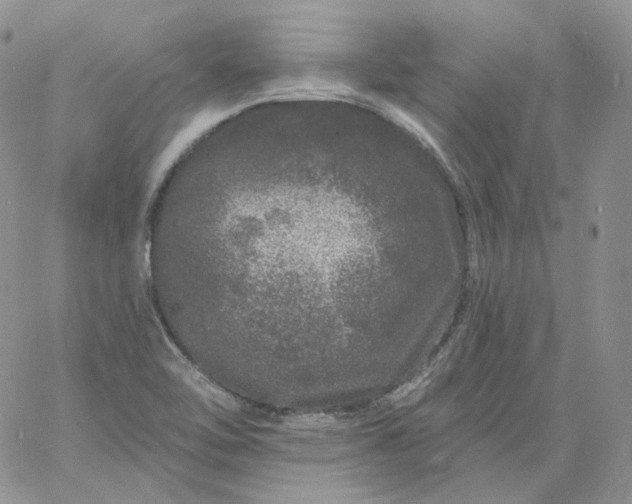 X0000060811462200511241923