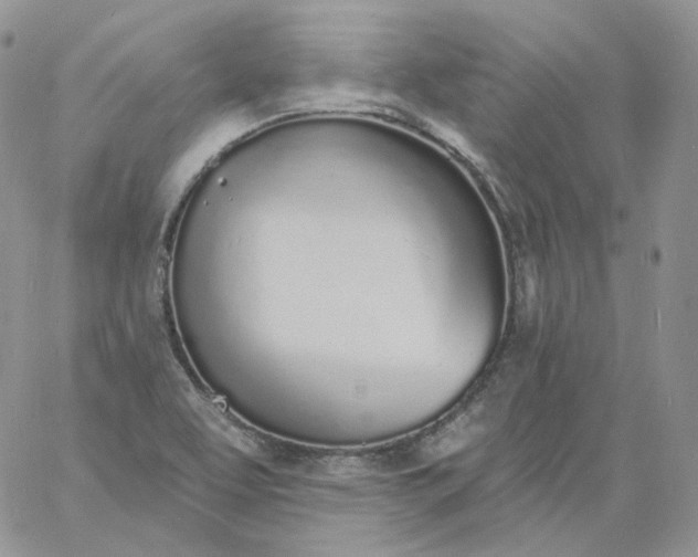 X0000060811463200511241923