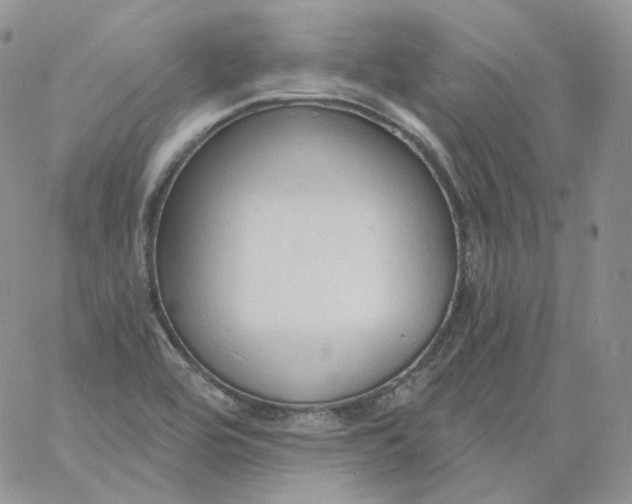 X0000060811464200511241923