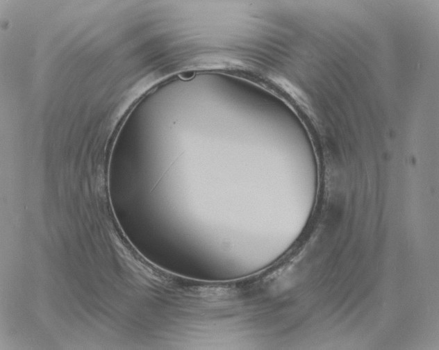 X0000060811465200511241923