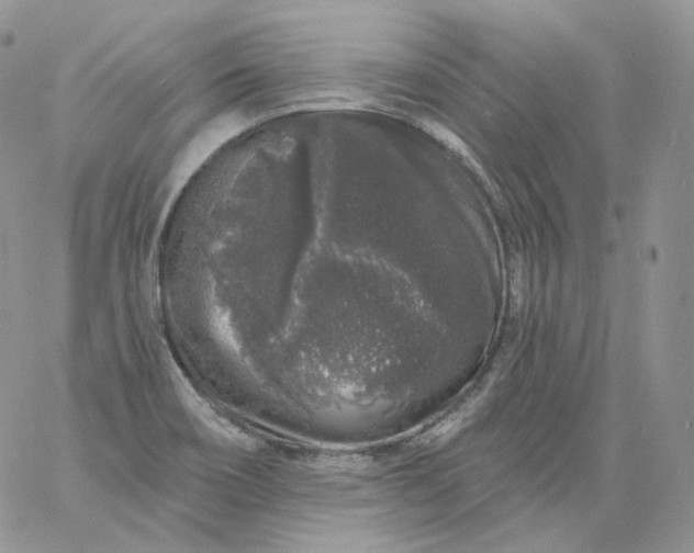 X0000060811466200511241923