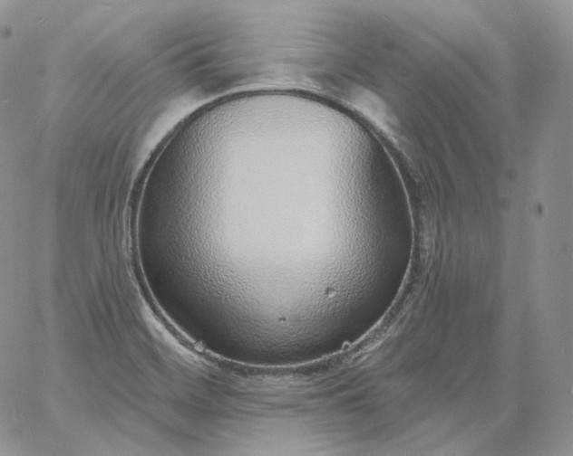 X0000060811468200511241923