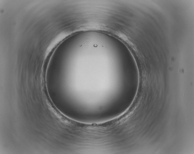 X0000060811469200511241923