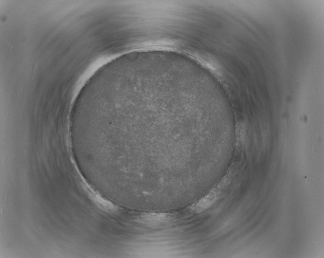 X0000060811470200511241923