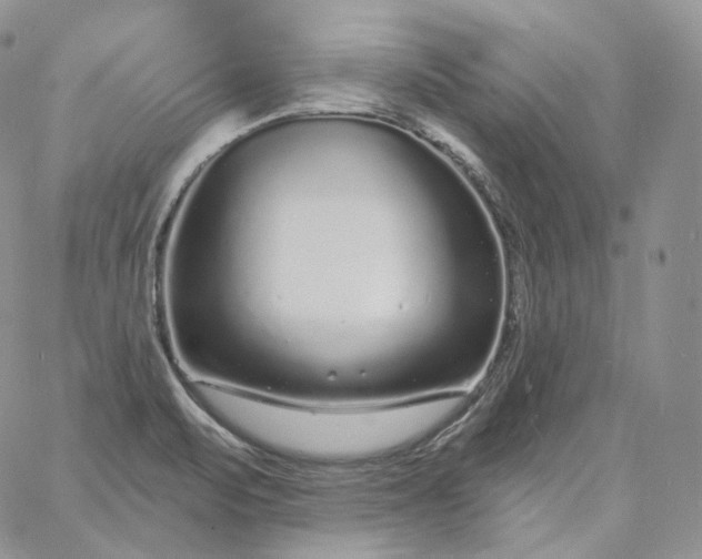 X0000060811471200511241923