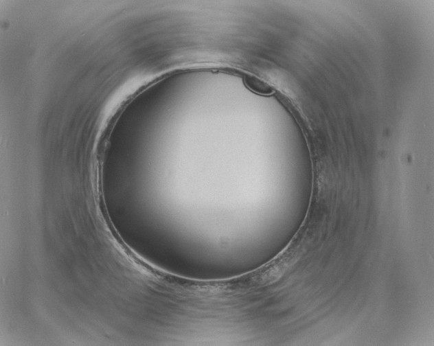 X0000060811472200511241923