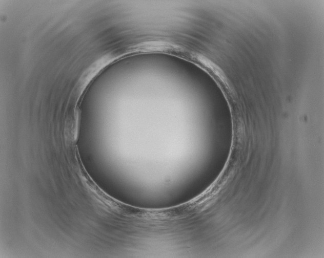 X0000060811473200511241923