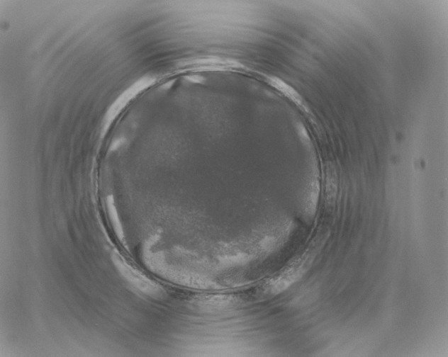 X0000060811474200511241923