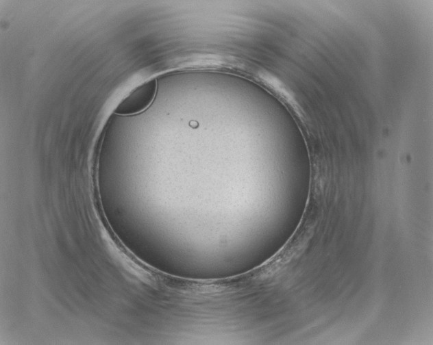 X0000060811475200511241923