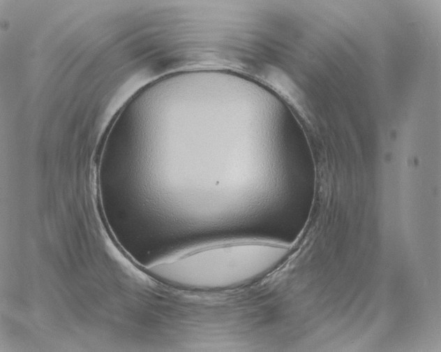 X0000060811476200511241923