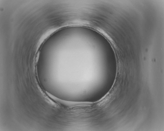 X0000060811477200511241923