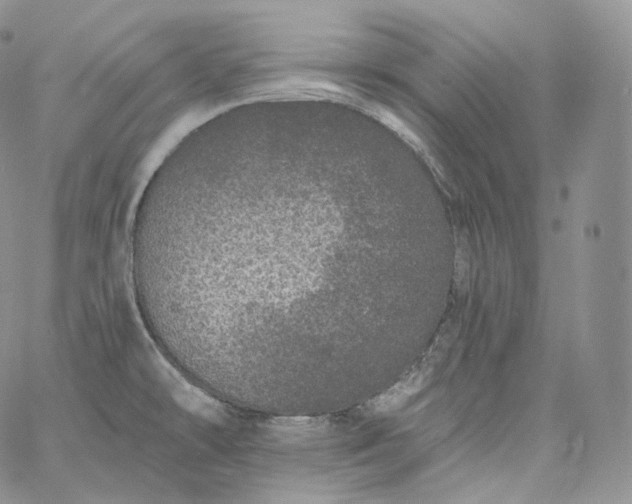 X0000060811478200511241923