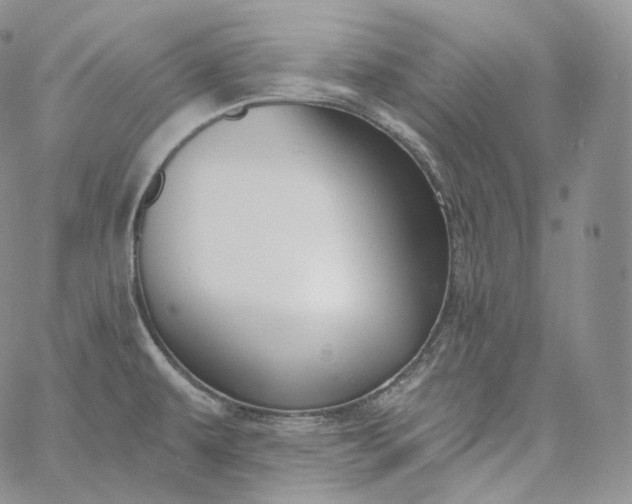 X0000060811479200511241923