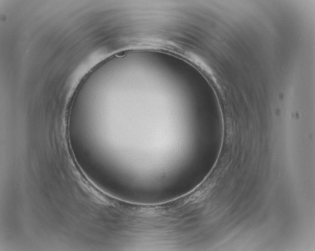 X0000060811480200511241923