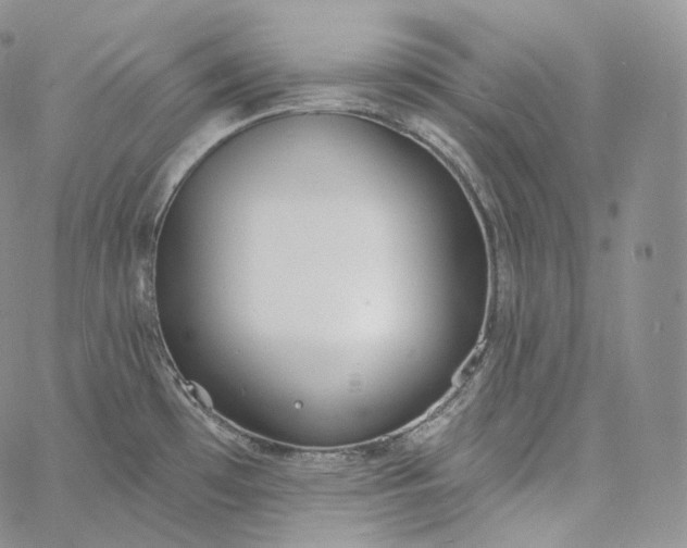 X0000060811481200511241923