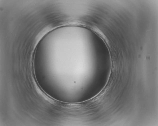 X0000060811483200511241923