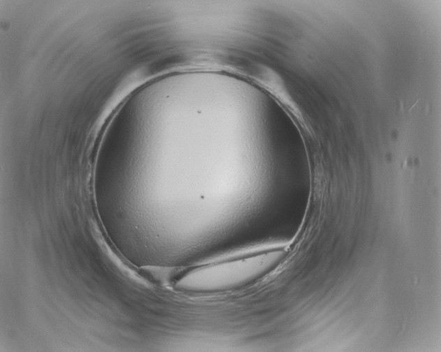 X0000060811484200511241923