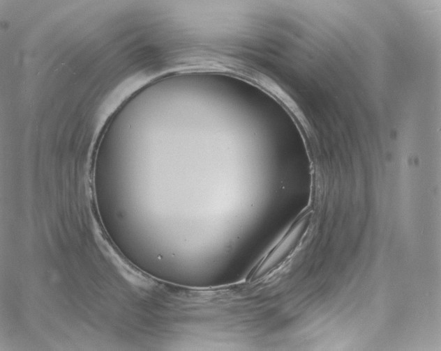 X0000060811485200511241923