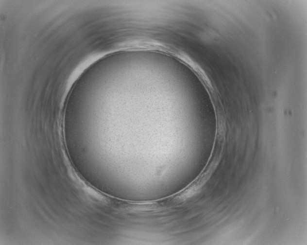 X0000060811486200511241923