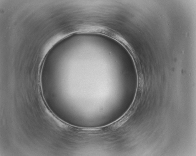 X0000060811487200511241923