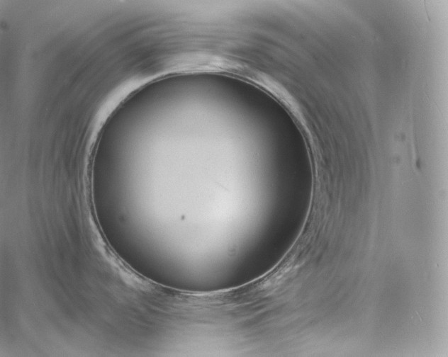 X0000060811488200511241923