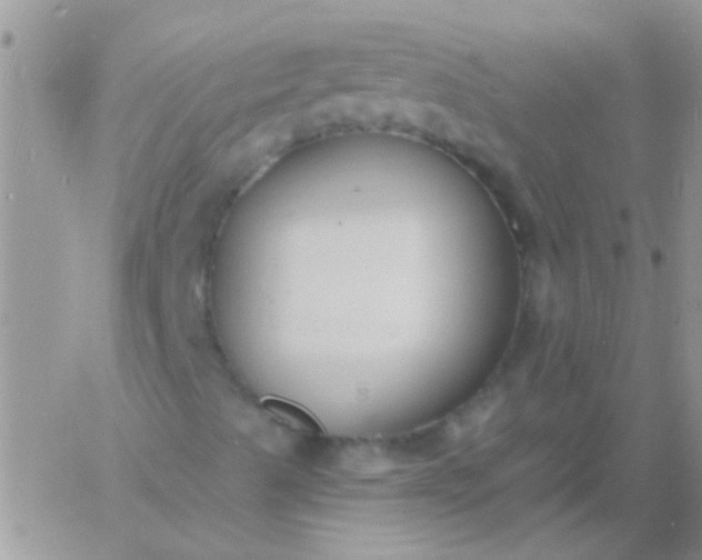 X0000060811489200511241922