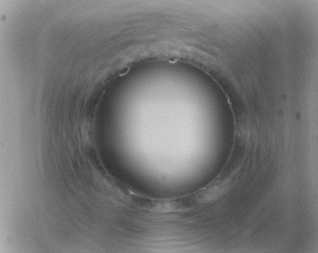 X0000060811490200511241922