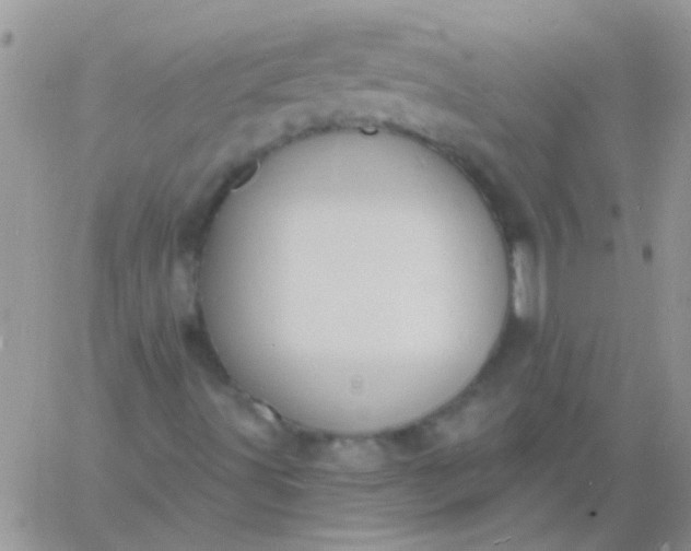 X0000060811491200511241922